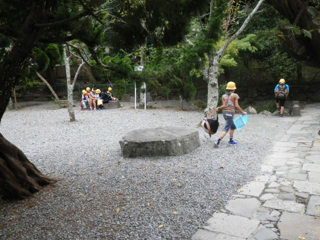 高徳院(鎌倉大仏)