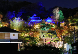 長谷寺の秋の夜間特別拝観