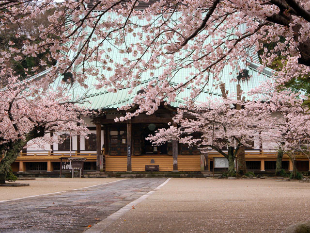 写真提供:鎌倉市観光協会光明寺