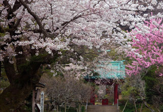 平成29年春の施設一般公開について