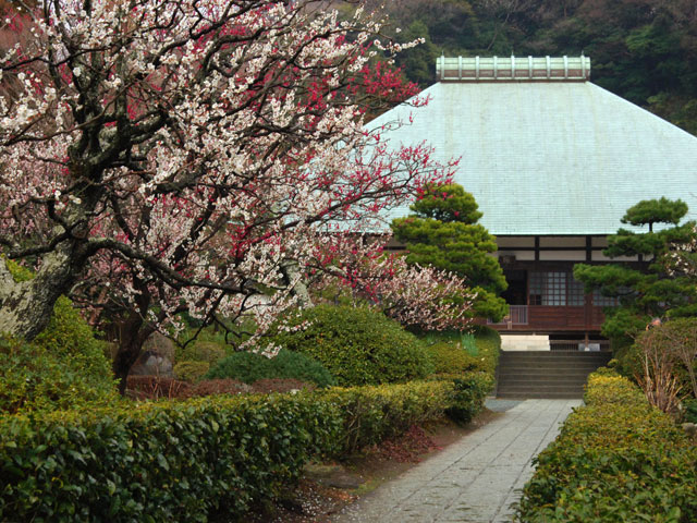 写真提供:鎌倉市観光協会浄妙寺