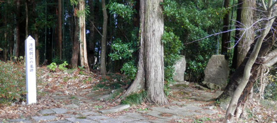 源頼朝のお墓の前で思う [奥州番外編] 